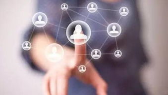 北京軟件開(kāi)發(fā)公司排名與大型軟件開(kāi)發(fā)公司概覽